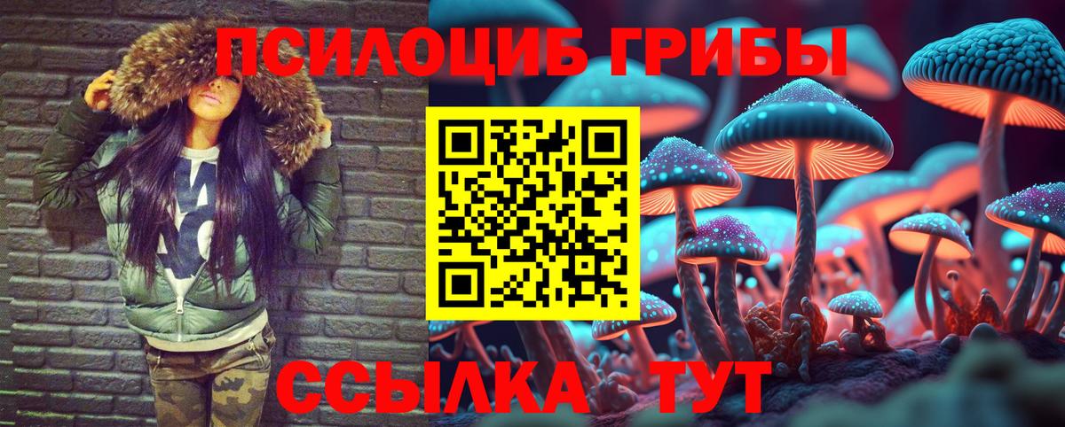 Сургут  Галлюциногенные грибы Cubensis  Галлюциногенные грибы MAGIC MUSHROOMS  Вход с VPN 