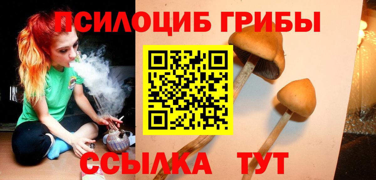 Псилоцибиновые грибы Magic Shrooms Сургут